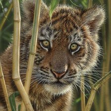 Cross stitch pattern: #1999418