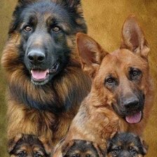Cross stitch pattern: #1999733