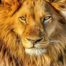 Cross stitch pattern: #2001152