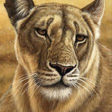 Cross stitch pattern: #2001171