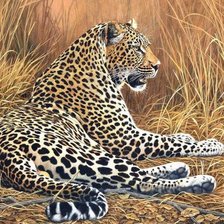 Cross stitch pattern: #2002046