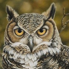 Cross stitch pattern: #2002050