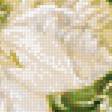 Preview of cross stitch pattern: #2002150