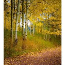 Cross stitch pattern: #2002174