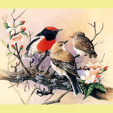 Cross stitch pattern: #2002606