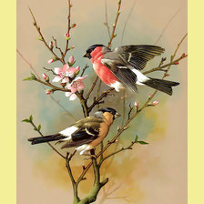 Cross stitch pattern: #2002609