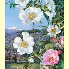 Cross stitch pattern: #2002937