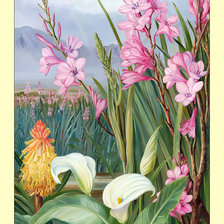 Cross stitch pattern: #2002938