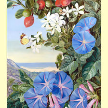 Cross stitch pattern: #2002939