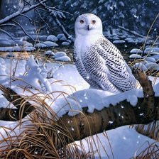 Cross stitch pattern: #2003001