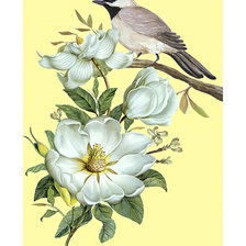 Cross stitch pattern: #2003040