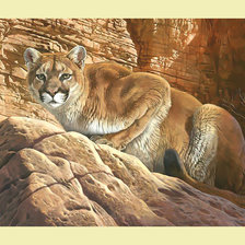 Cross stitch pattern: #2003079