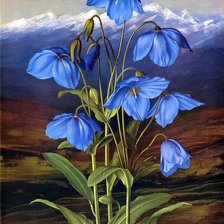 Cross stitch pattern: #2003234