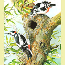 Cross stitch pattern: #2003292