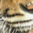 Preview of cross stitch pattern: #2003384