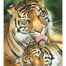 Cross stitch pattern: #2003384