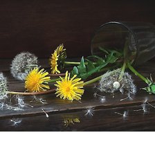 Cross stitch pattern: #2003741