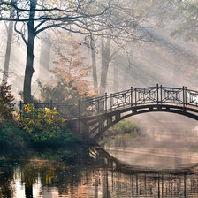 Cross stitch pattern: #2004034