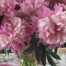 Cross stitch pattern: #2004294