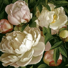 Cross stitch pattern: #2005381