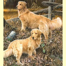 Cross stitch pattern: #2006108