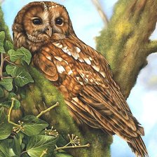 Cross stitch pattern: #2006311