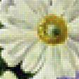 Preview of cross stitch pattern: #2006475