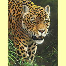 Cross stitch pattern: #2007325