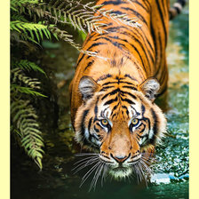 Cross stitch pattern: #2007327