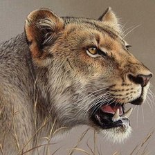 Cross stitch pattern: #2007396