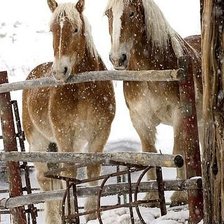 Cross stitch pattern: #2008252