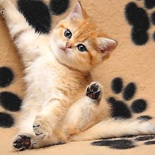 Cross stitch pattern: #2008254