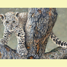 Cross stitch pattern: #2008315