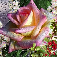 Cross stitch pattern: #2010051