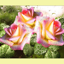 Cross stitch pattern: #2010520