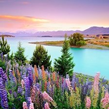 Cross stitch pattern: #2010796