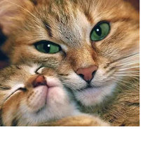 Cross stitch pattern: #2011102