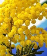 Cross stitch pattern: #2011464