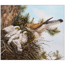 Cross stitch pattern: #2012270