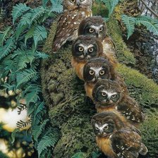 Cross stitch pattern: #2013554