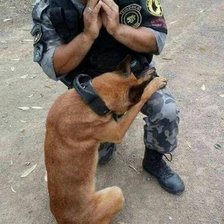 Cross stitch pattern: #2014795