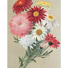 Cross stitch pattern: #2014890