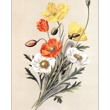 Cross stitch pattern: #2014901