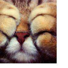 Cross stitch pattern: #2015171