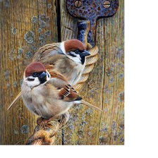 Cross stitch pattern: #2015357