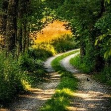 Cross stitch pattern: #2015613