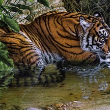 Cross stitch pattern: #2015945