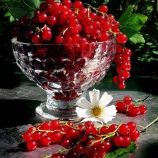 Cross stitch pattern: #2016039