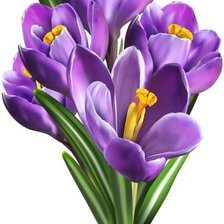 Cross stitch pattern: #2016040