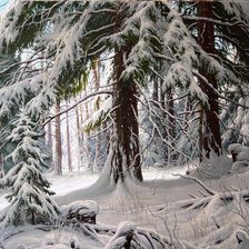 Cross stitch pattern: #2016125